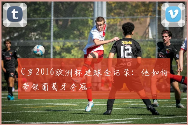 C罗2016欧洲杯进球全记录:他如何带领葡萄牙夺冠