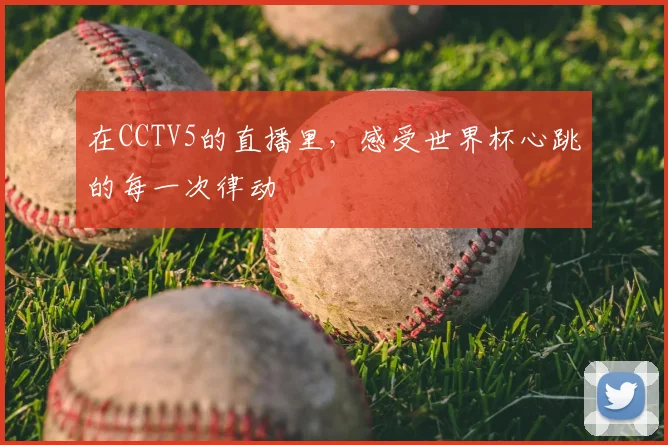 在CCTV5的直播里,感受世界杯心跳的每一次律动