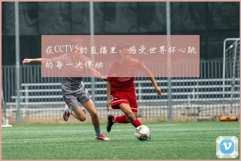 在CCTV5的直播里，感受世界杯心跳的每一次律动