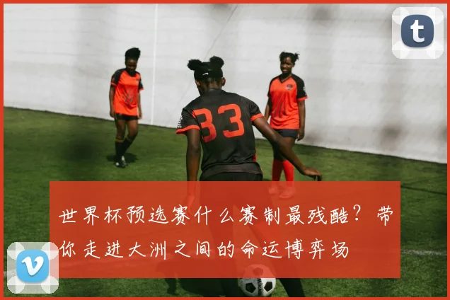世界杯预选赛什么赛制最残酷?带你走进大洲之间的命运博弈场
