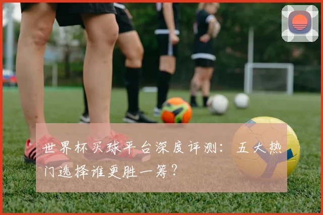 世界杯买球平台深度评测:五大热门选择谁更胜一筹?